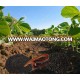 Black Gold Agriculture Organic Fertilizer Worm Castings