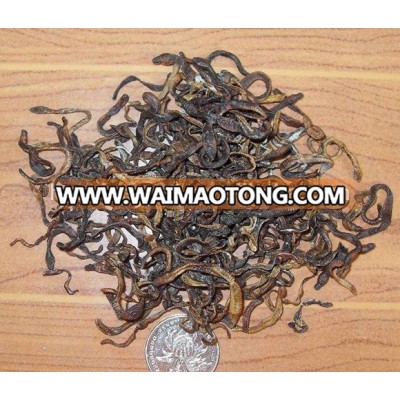 Dried earthworm as foods for dogs birds fishes pigs ect